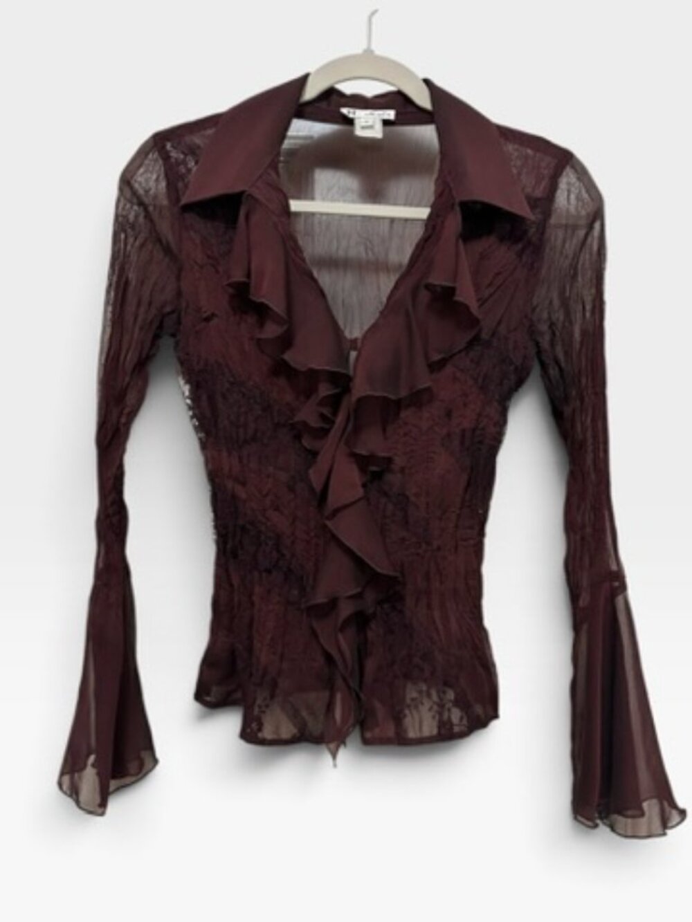 Vintage Ruffled Bell Sleeve Sheer Crinkle Whimsigoth Blouse Top Small